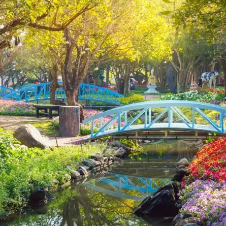 صور زهور الربيع في مهرجانات عالميّة