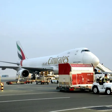 الإمارات للشحن الجوي تنقل أفضل خيول العالم إلى دبي