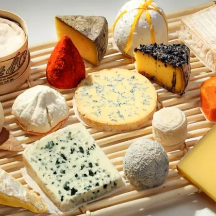 الأجبان بريئة من ارتفاع الكولسترول في الدم