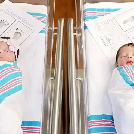 بالصور: ولادة روميو وجولييت 2017!