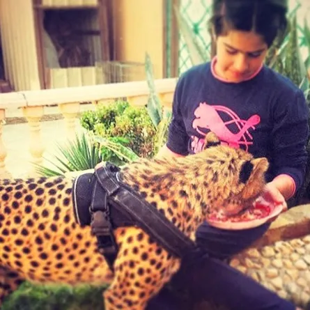 سعوديات يعشقن ترويض الحيوانات