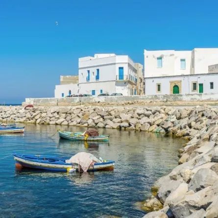 السفر إلى تونس: زيارة ربيعية إلى مهدية 