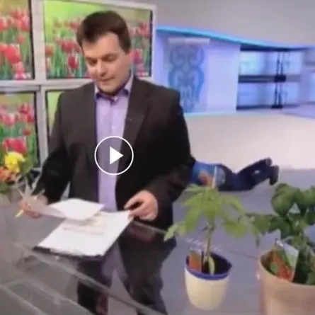 بالفيديو.. مذيع روسي يتعرض لموقف كوميدي محرج على الهواء