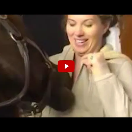 بالفيديو.. ماذا فعل هذا الحصان لتضحك الفتاة بشكل هستيري!