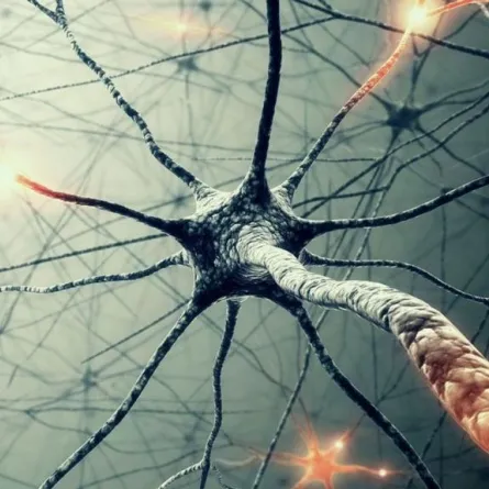 دراسة: تخليق خلايا في المخ قد يُساعد في علاج «الشلل الرعاش»