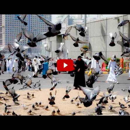 بالفيديو.. البائعة المصفوعة في مكة تكشف تفاصيل الاعتداء عليها!