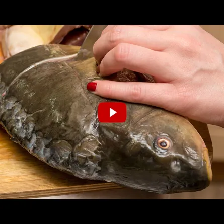 بالفيديو.. سيدة تعثر على مفاجأة سارة في أحشاء سمكة