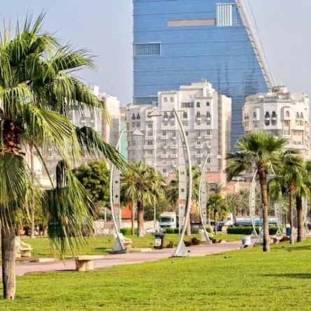 أمانة جدة تطلق مبادرة «جدة بأيدينا خضراء»