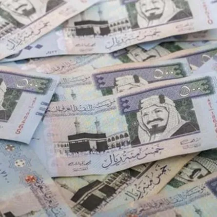 الزكاة والدخل: تحصيل ضرائب من شركات «التجارة الإلكترونية» العالمية