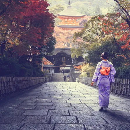 بالفيديو.. الوجه الآخر لكوكب اليابان وحقائق صادمة