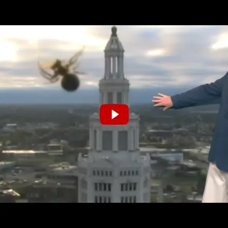 بالفيديو.. مذيع شهير  يثير السخرية بعد رؤيته "عنكبوت" خلال نشرة الطقس