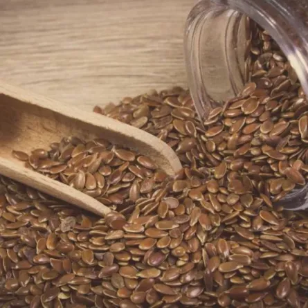 فوائد بذور الكتان: تعرّفي على المزيد منها