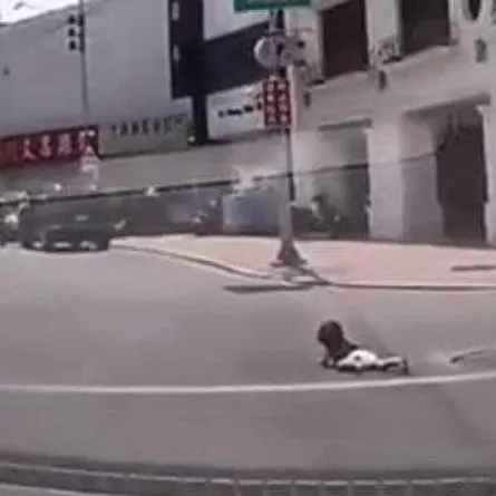 بالفيديو: سقوط طفلة من سيارة والدها وسط الطريق.. والنتيجة صادمة!