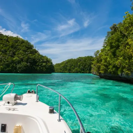 "بحيرة  قناديل البحر" العنوان السياحي الأوّل في "جزر الروك"