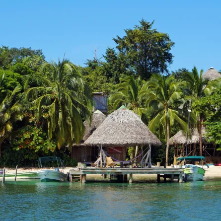 شهر العسل في جنوب أفريقيا: إليك هذه النشاطات الممتعة