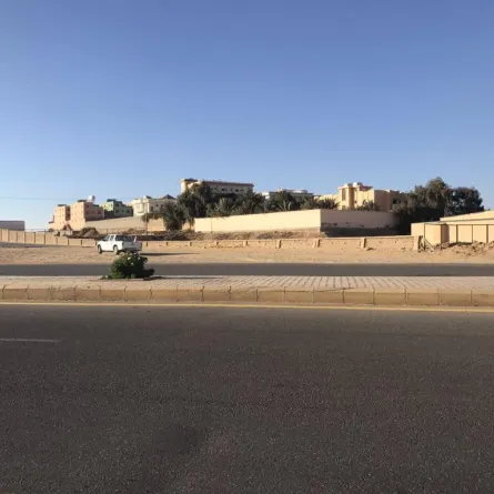 مطاردة ذئب في شوارع سكاكا