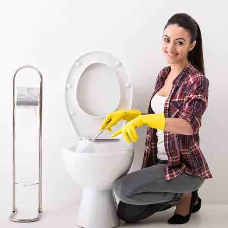 طريقة صنع مكعبات تنظيف المرحاض