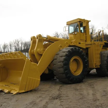 نقل طلاب وطالبات بيشة بـ "الشيول"!