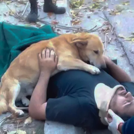 سقط الرجل وأغمي عليه.. ماذا فعل كلبه؟