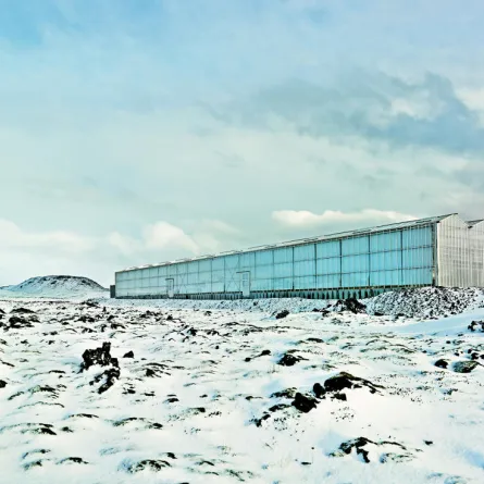 مقشر BIOEFFECT البركاني مع حمم تتمتع ببلورات جزئية أيسلاندية