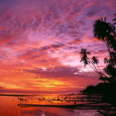 جزيرة مولوكاي وجهة رومانسية لشهر عسلك