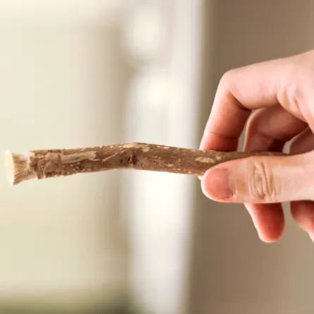 استخدام السواك ومعجون الأسنان هل يفطر في رمضان؟