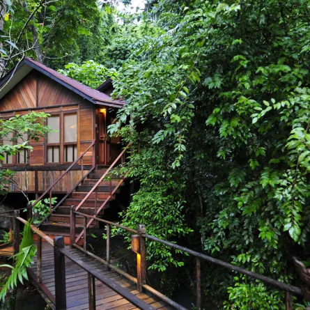 صور: إقامة فخمة في "بيوت الأشجار"