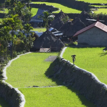 شهر العسل في الفلبين!