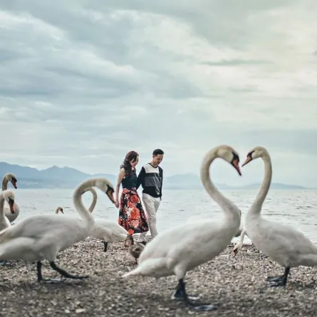 صور عرايس بلقطات مميزة وغريبة