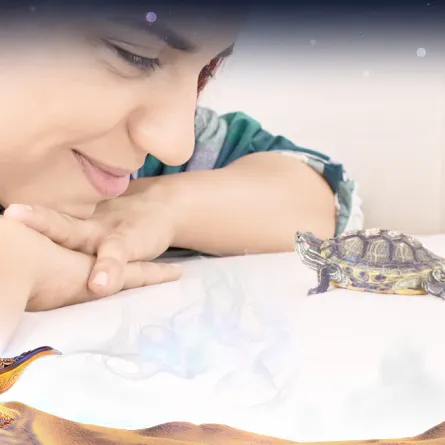 ما تفسير الحلم بسلحفاة؟