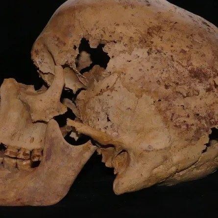 أقدم إنسان عاقل بدائي في العالم عاش في المغرب!