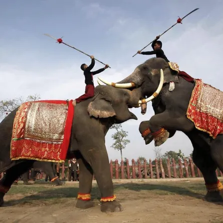 ألعاب رياضية لا تعلمين عنها