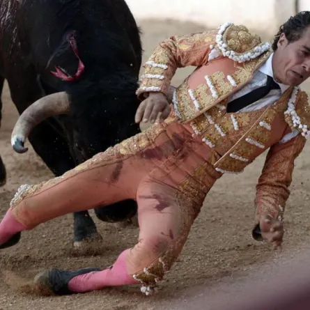 مصارع الثيران يموت في الحلبة فكيف حصل ذلك؟