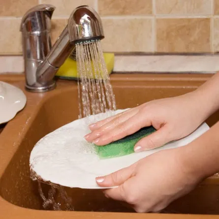 جزائريات يدخلن موسوعة غينيس بـ "غسل الأطباق"