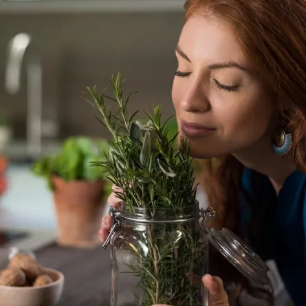 روائح ذكيّة فوّاحة في غرف المنزل 