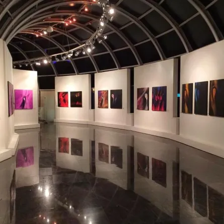 منال الرويشد.. أول سيدة تتولى رئاسة «جسفت»!