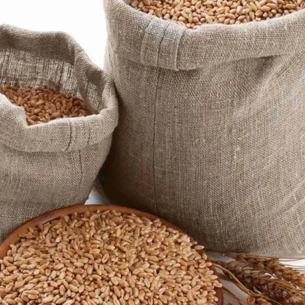 احذروا هذه الأخطاء عند إخراج زكاة الفطر