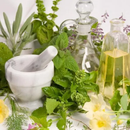 تعرّفي إلى النباتات التي تحمي من دوالي الساقين