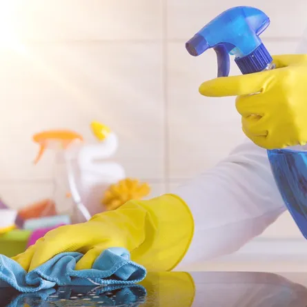 مكونات منزلية في صنع ملمع الزجاج