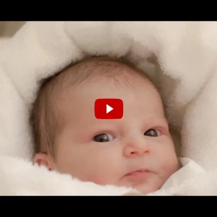 بالفيديو: سيدة تلد طفلها وسط حصار 12 أسداً