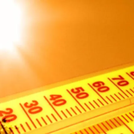 أخطاء يجب تجنبها عندما تصبح حرارة الجو 40 درجة