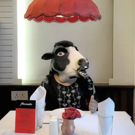 هل البقرة أهم من المرأة؟