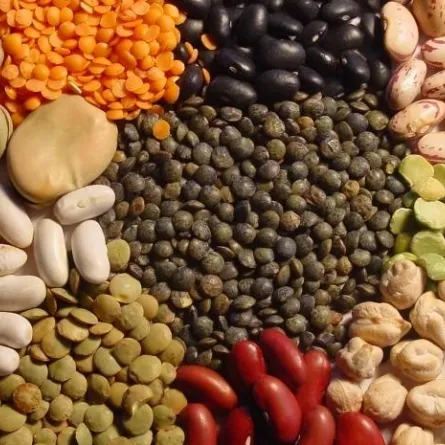 انقطاع الطمث المبكر: البروتينات النباتية تقيك منه