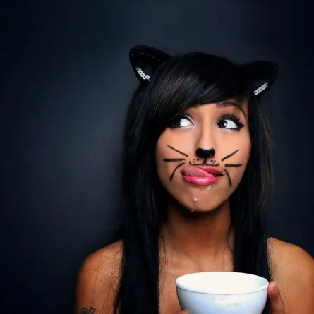 أكبر تجمع للقطط البشرية في العالم