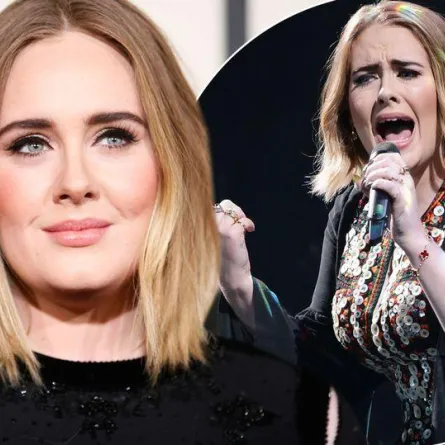 أديل تستعمل لغة الإشارة للحفاظ على صوتها