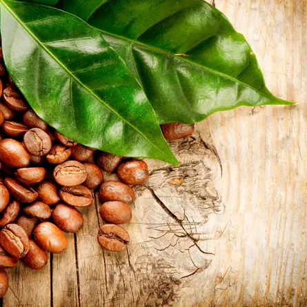 6 وظائف للبنّ في تدبير المنزل