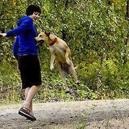 الفيلم الأمريكي "ويندي ولوسي" عقبات تغير مجرى الحياة