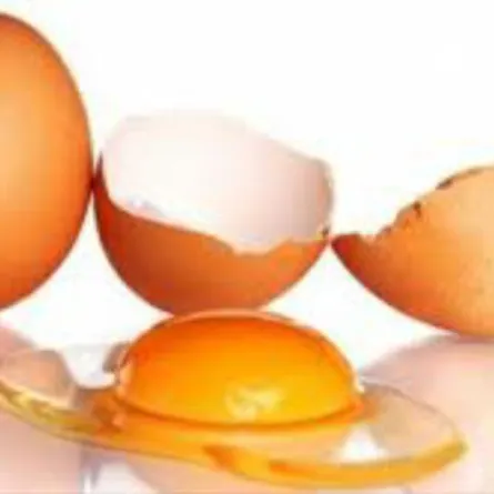 هولندا تحذر من تناول البيض الملوث لفترة مؤقتة