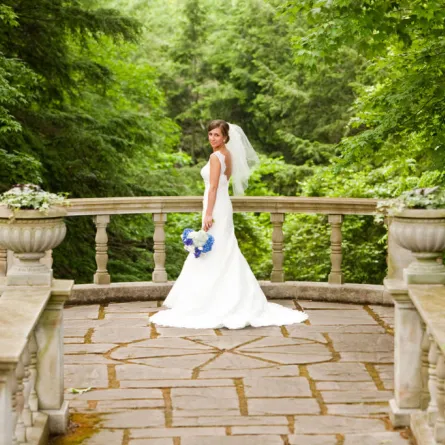 بالصور.. مذيعة تقيم حفل زفاف "سنجل" من دون عريس