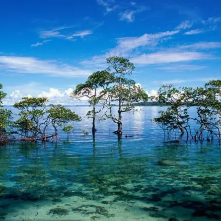 8 مواقع سياحية لا يمكن رؤيتها إلّا بالصور